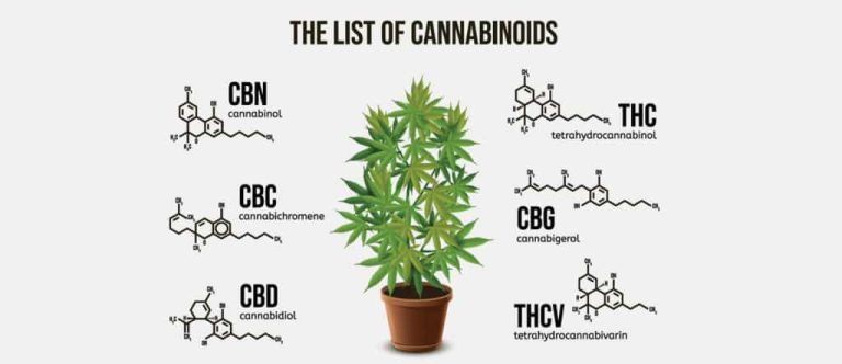 List of cannabinoids